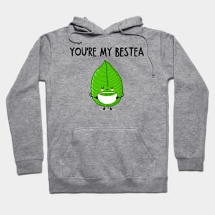 You're My Bestea Cute Platonic Friend Funny Jokes with Best Friend Hoodie